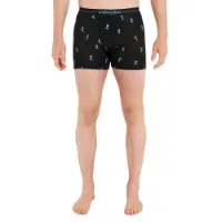 Icebreaker Merino 150 Anatomica Ski Day Boxershorts Icebreaker Merino 150 Anatomica Ski Day Boxershorts