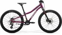 Merida MATTS J. 24+ evergreen 2024 24" Diamant Merida MATTS J. 24+ evergreen 2024 24" Diamant