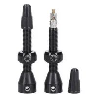 Tubolight Brass Mtb Tubeless Ventile 2 Einheiten Tubolight Brass Mtb Tubeless Ventile 2 Einheiten