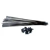 Vision Trimax Carbon Tc50 Speichen Und Nippel Kit 20 Einheiten Vision Trimax Carbon Tc50 Speichen Und Nippel Kit 20 Einheiten